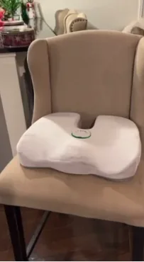 כרית iCanSit על כיסא סלוני